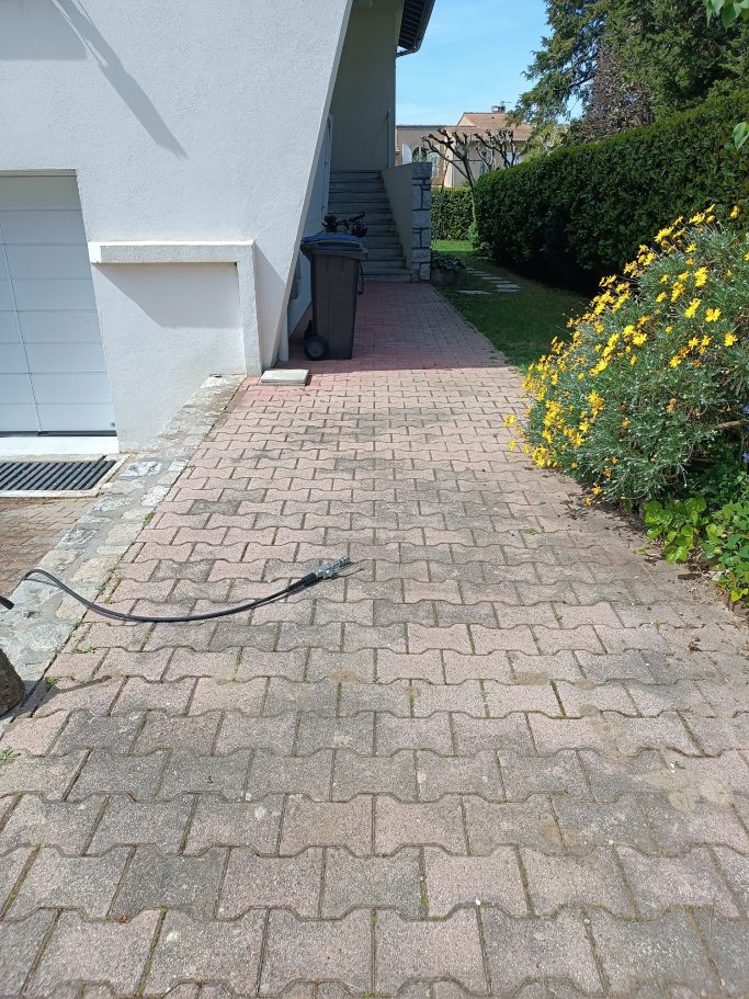 Allée pavés avant nettoyage